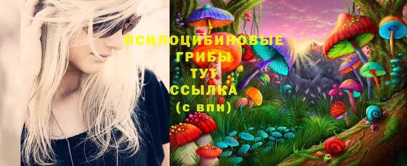 Галлюциногенные грибы Magic Shrooms  где можно купить   Челябинск 